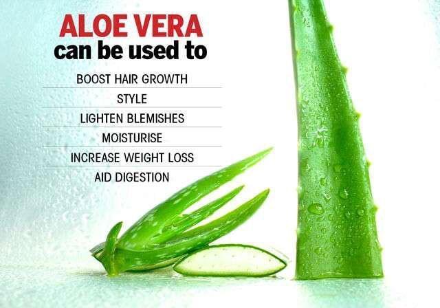 Aloe Vera Gel for Cosmetics Product and Face 200g - Elite Cosmetics