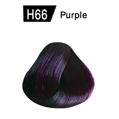 Bremod Hair Color H66 – Purple - Elite Cosmetics