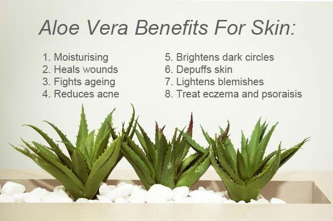 Aloe Vera Gel for Cosmetics Product and Face 200g - Elite Cosmetics
