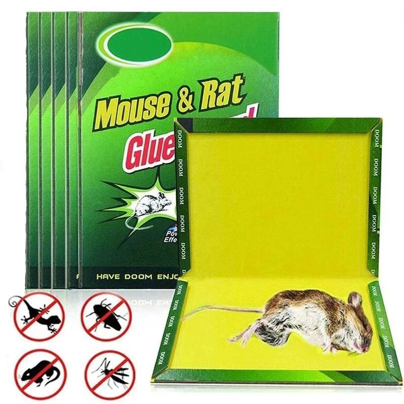 Mouse Trap Book Rat Catching 1 Piece - Elite Cosmetics